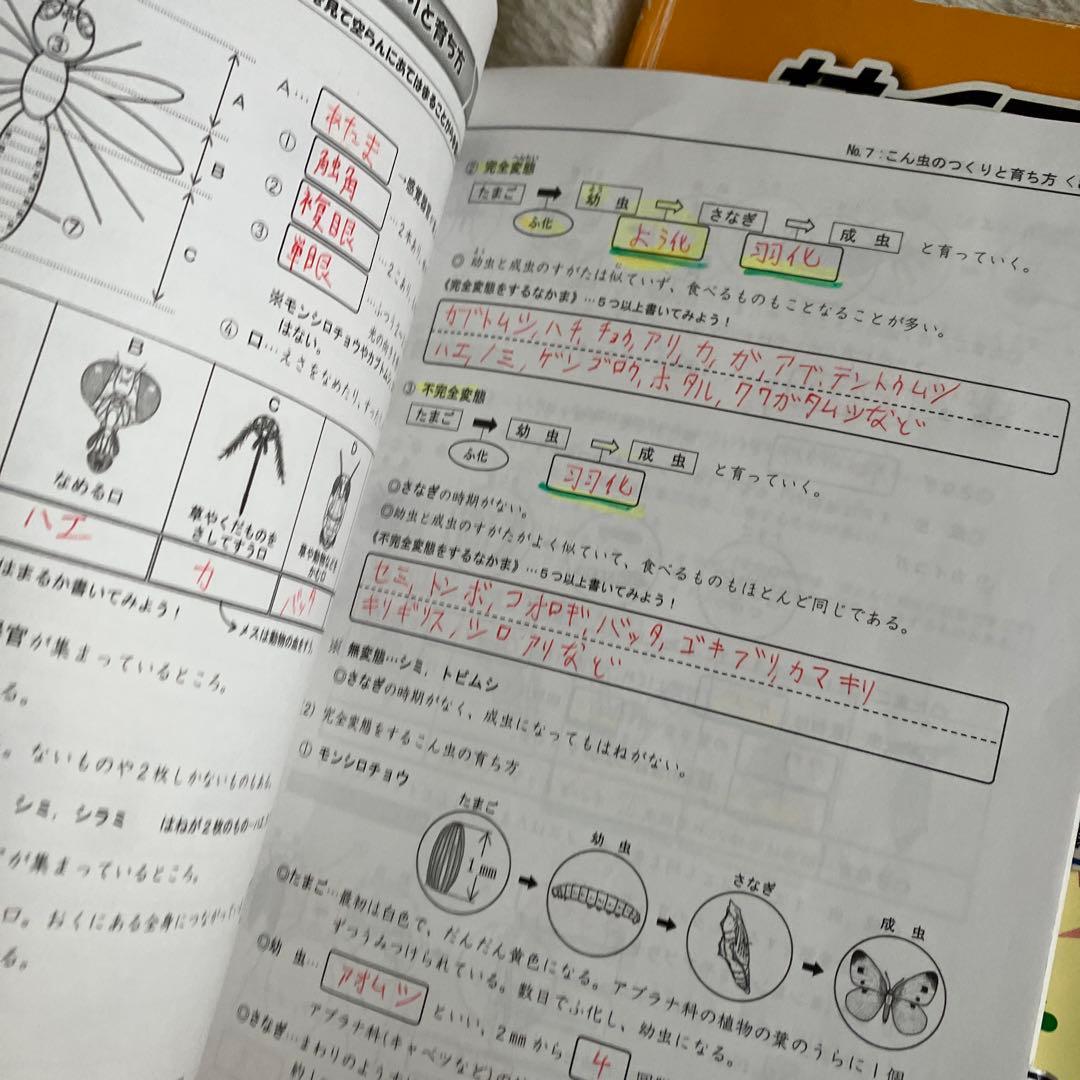 浜学園　小5 算数　理科　テキスト
