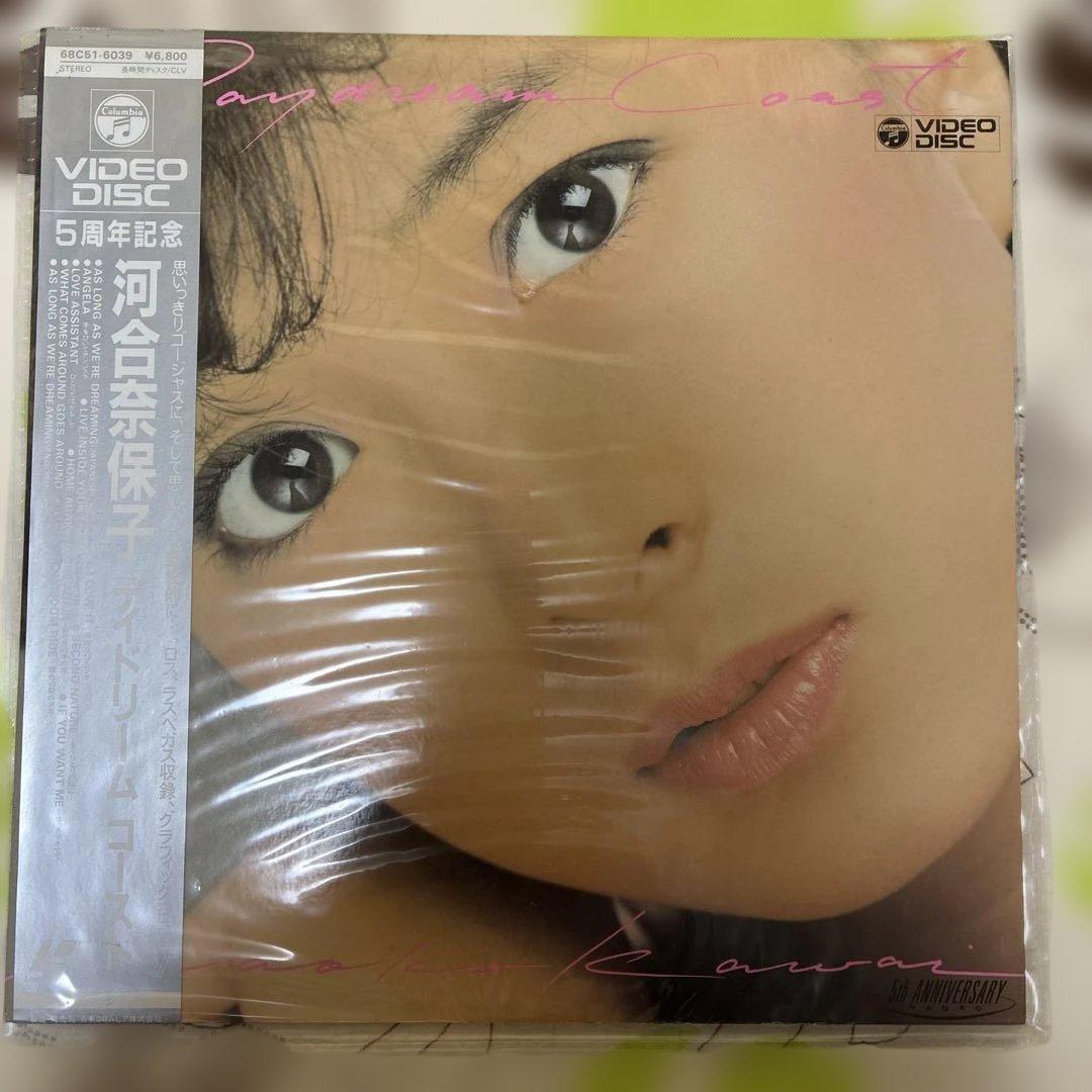 河合奈保子LDレーザーディスク 10枚セット　VIDEO DISC