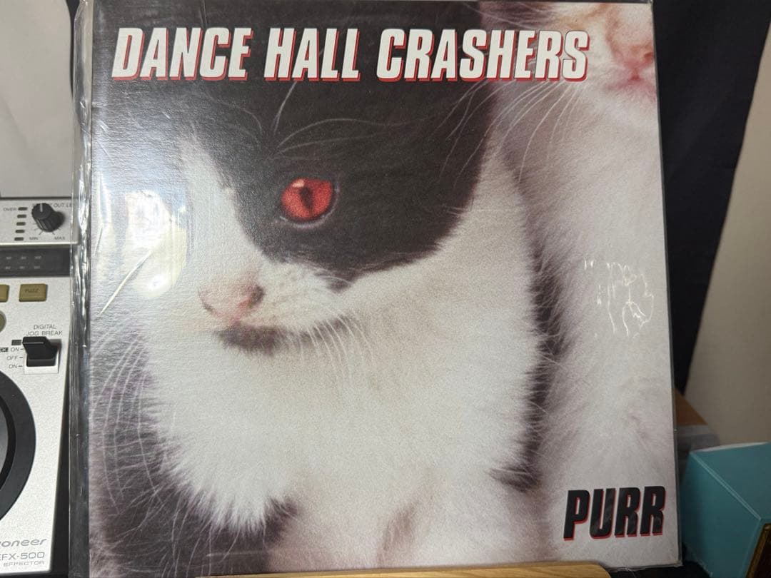 Dance Hall Crashers LPレコード3枚セット