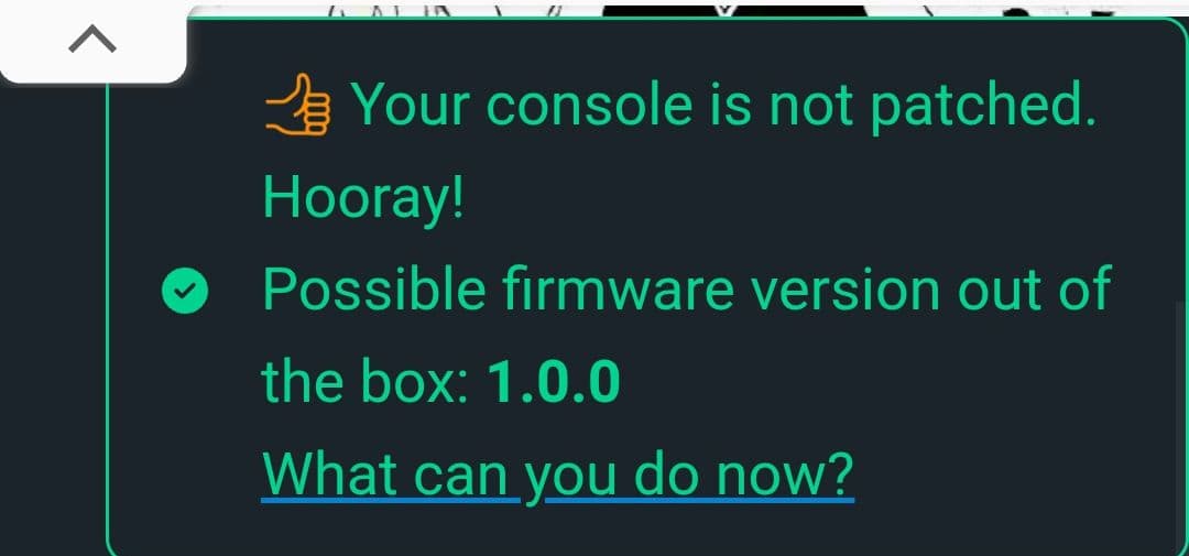 Nintendo Switch本体 HAC-001 SDカード LANアダプタ付