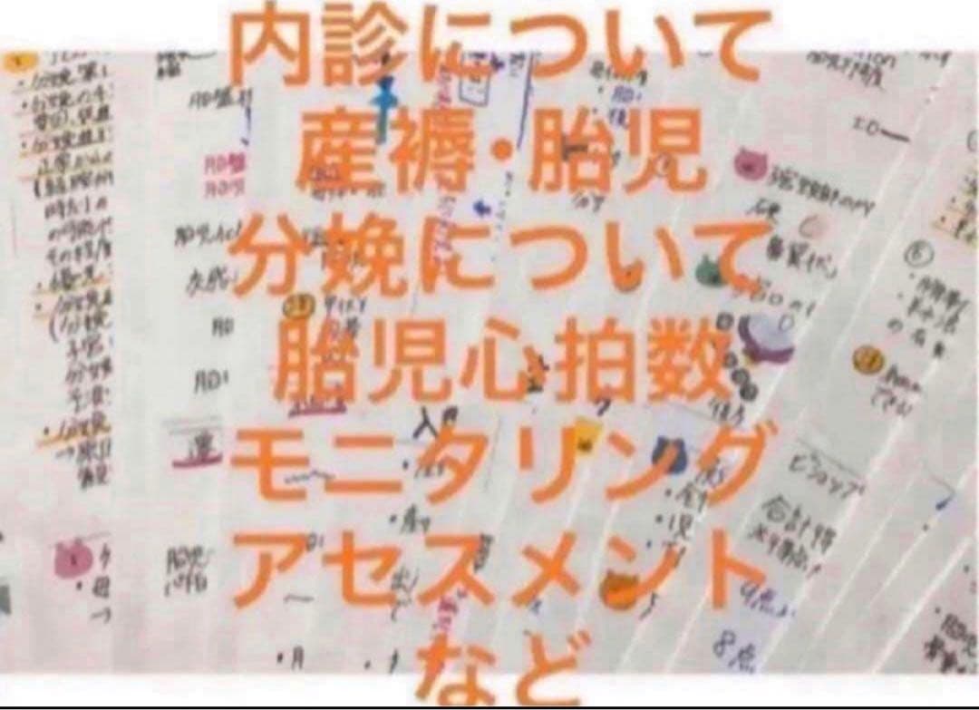 助産師・助産学生　実習乗り切りセット　ポケットサイズ　助産師国家試験
