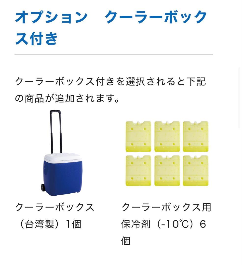 1回だけ使用○愛帽 アイスジャパン 頭皮冷却 （3時間分）