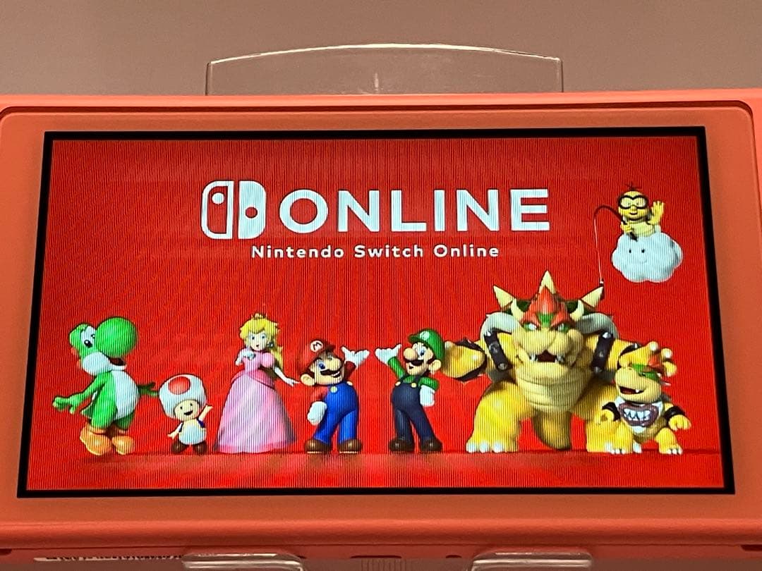 Nintendo Switch Lite コーラル［ジャンク品］