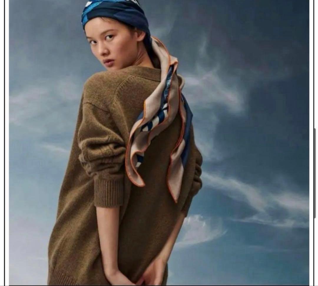 HERMES エルメス カレジェアン 140 カシシル 空想の鞍　美品