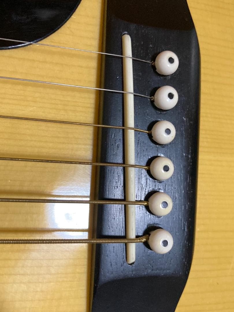 Morris アコースティックギター W-20