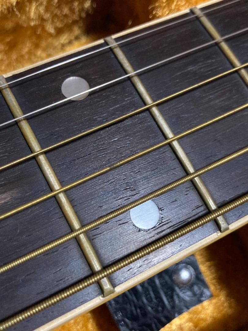Morris アコースティックギター W-20