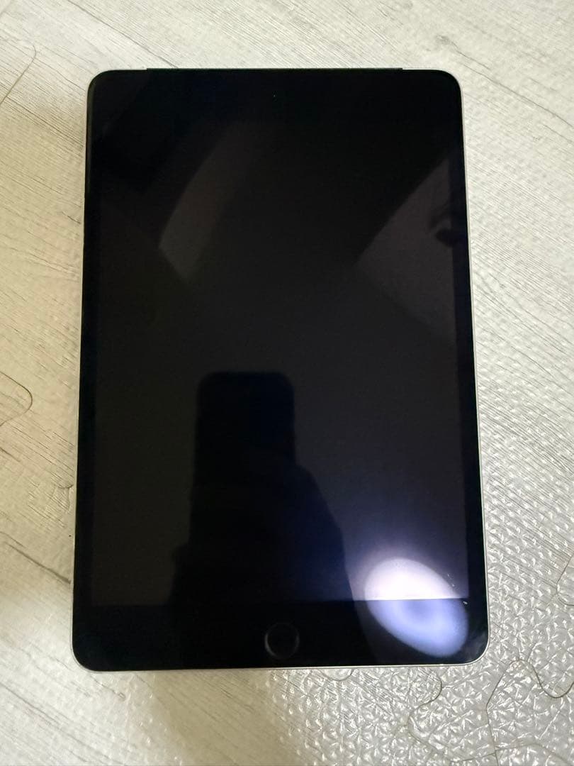 Apple iPad mini (第4世代) 16GB スペースグレー