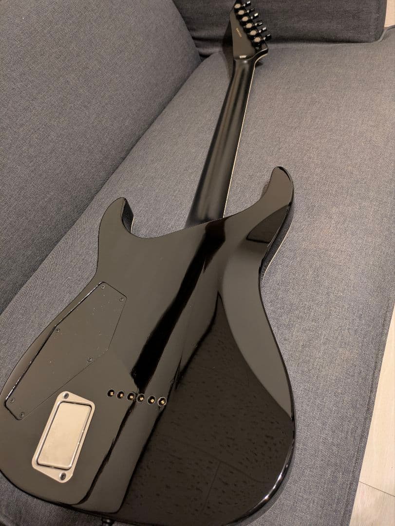 E-II HORIZON FR-II / Black Sunburst　未使用品
