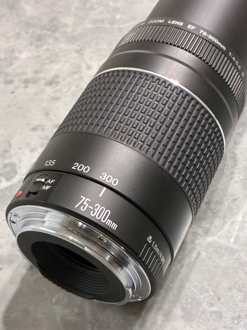 ⭐️美品⭐️Canon EF 75-300mm F4-5.6 III レンズフード付