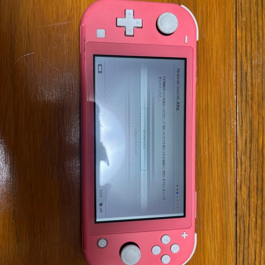 【ジャンク品・液晶不良】Switch Lite ピンク 本体 充電器付き