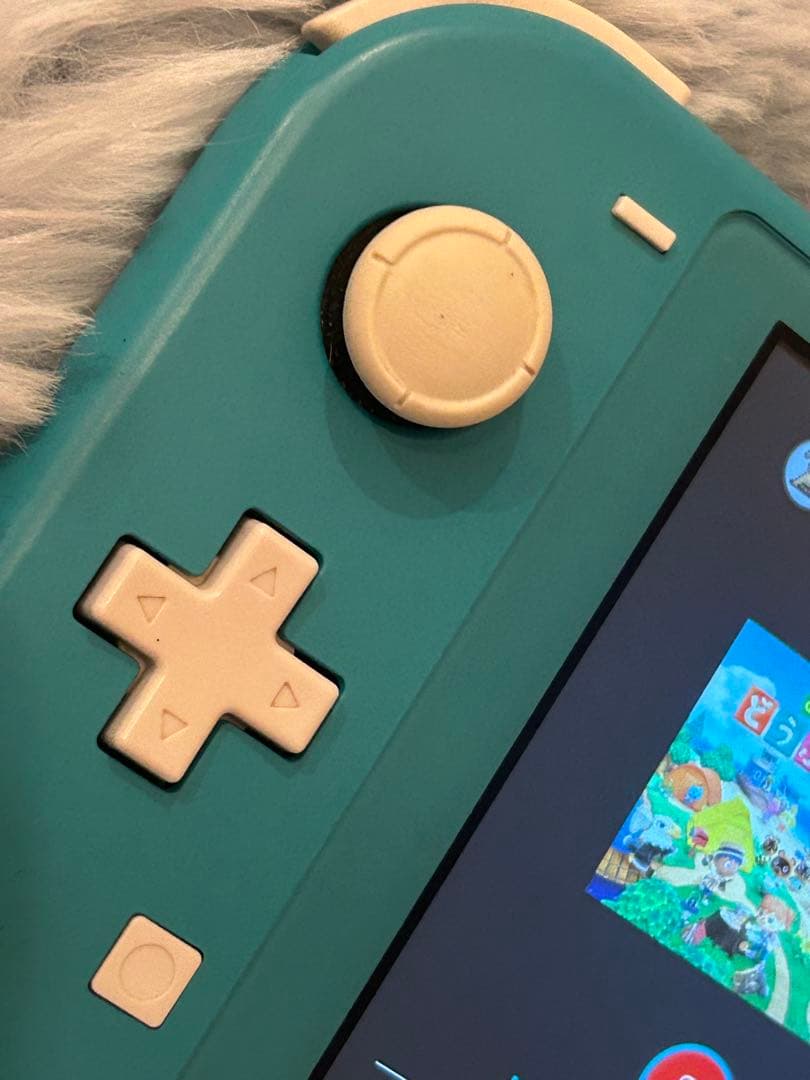 Switchライト 本体のみ