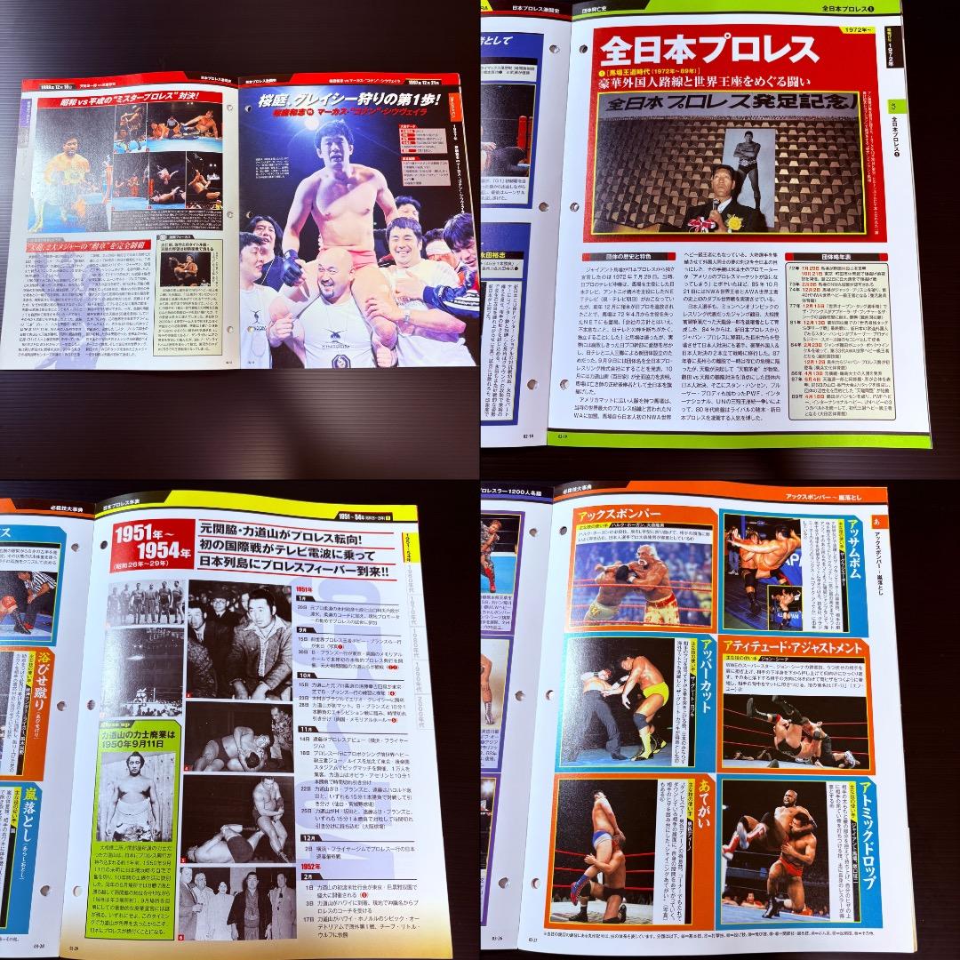 データファイル　日本プロレス　激闘60年史　２８冊　まとめ売り　週刊プロレス