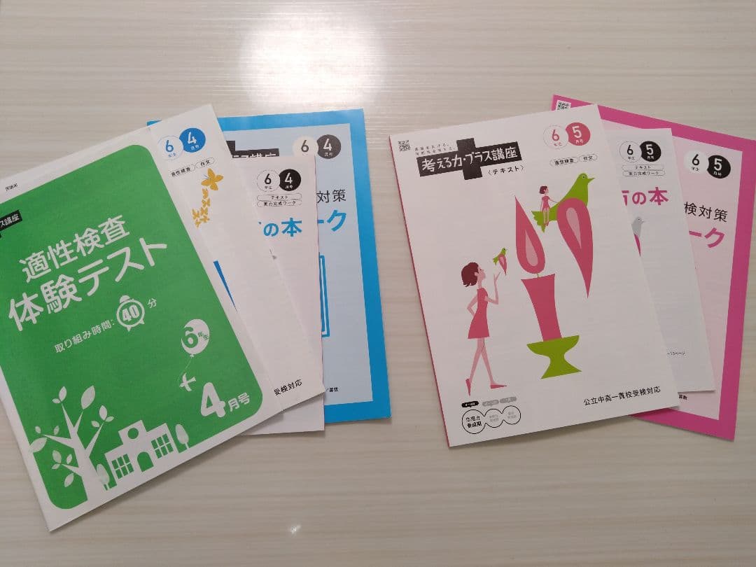 進研ゼミ 考える力プラス講座5年6年 まとめ売り　公立中高一貫校 適性検査対策