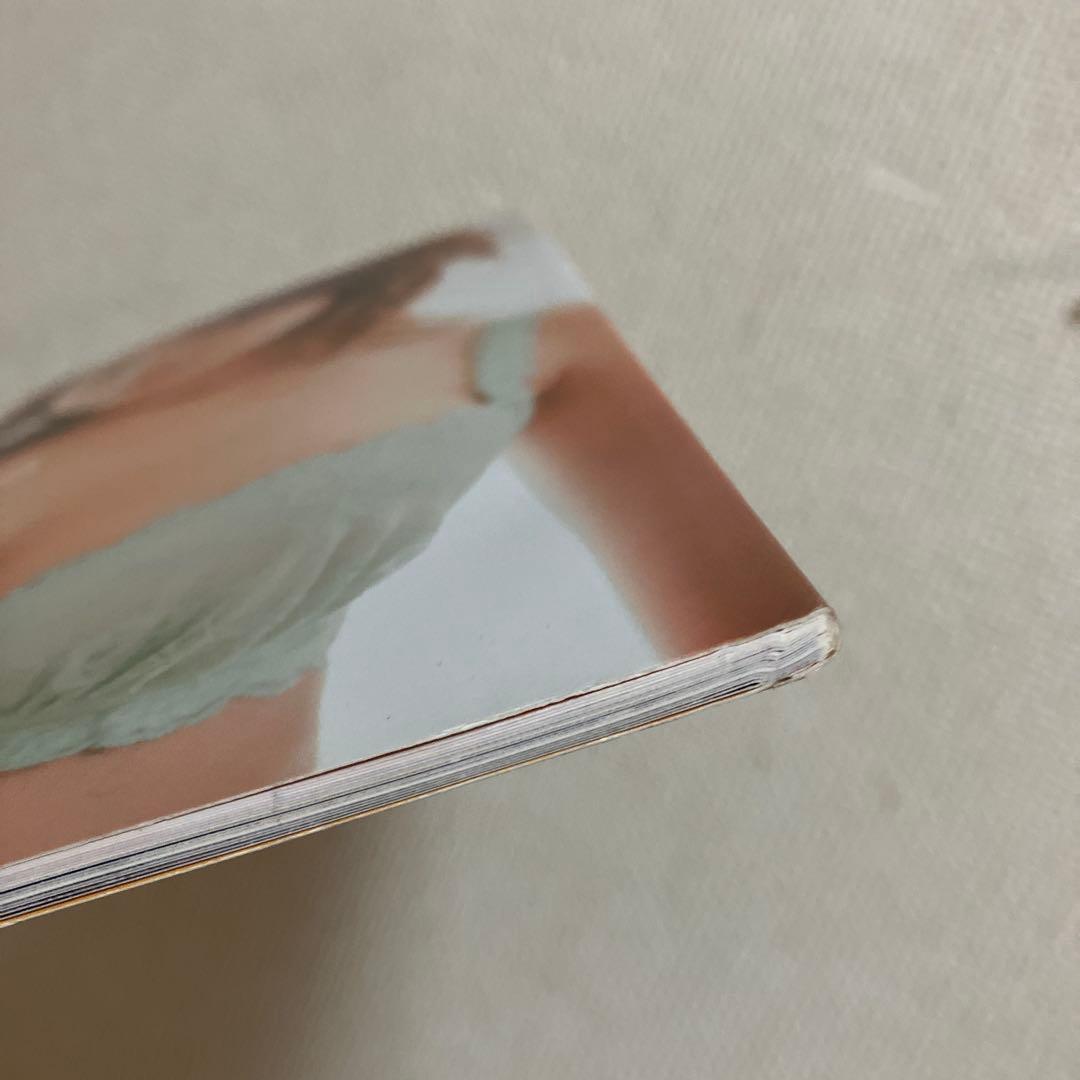非売品　沢尻エリカ　ReinestFirst collection 下着　写真集