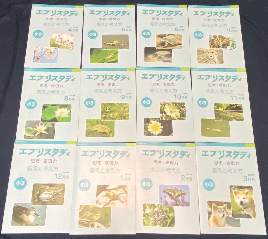 最新版 Z会 小学3年 2025年度 1年分 国算理社英 思考表現力 未記入