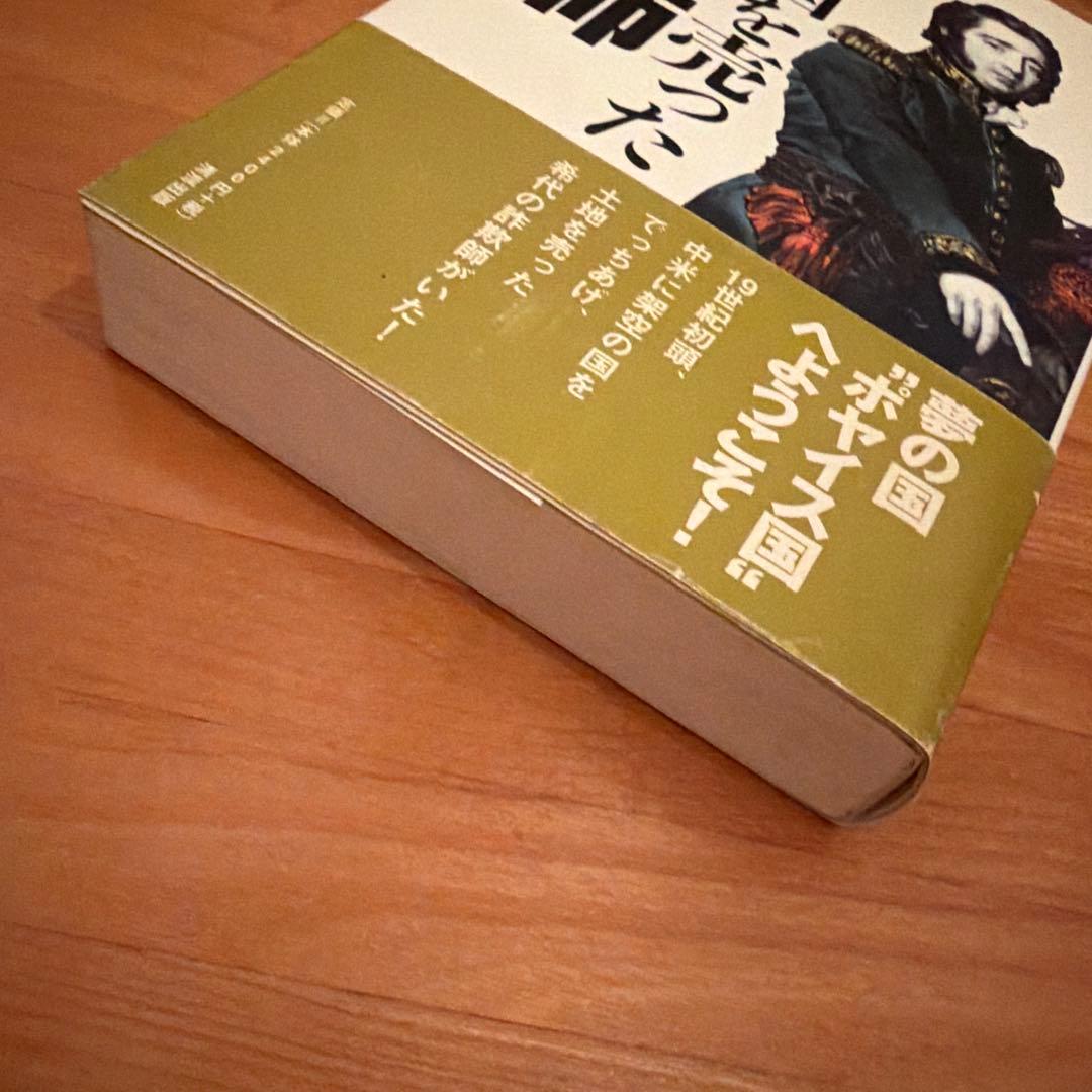 幻の国を売った詐欺師　 デイヴィッド・シンクレア　 初版 希少