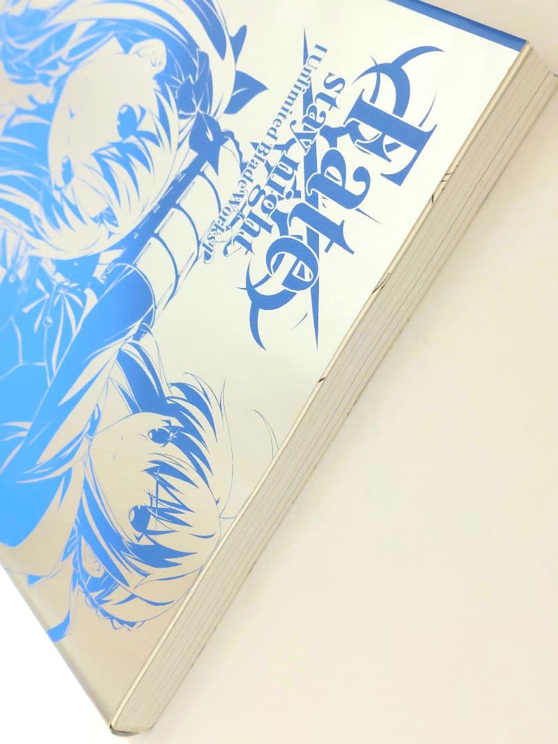 Fatestay night Unlimited Blade Works 原画集