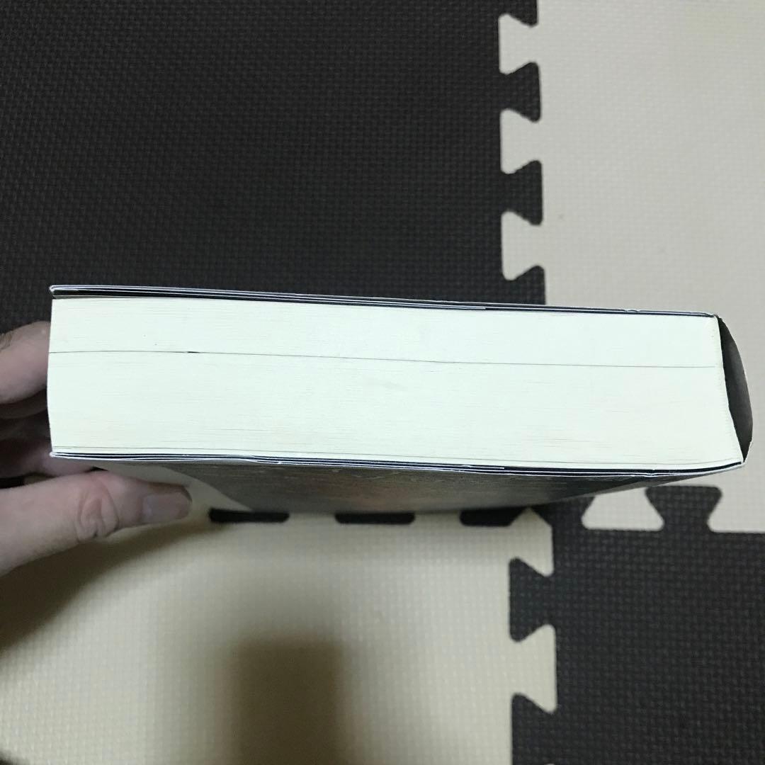 【希少】シュタイナー思想とヌーソロジー