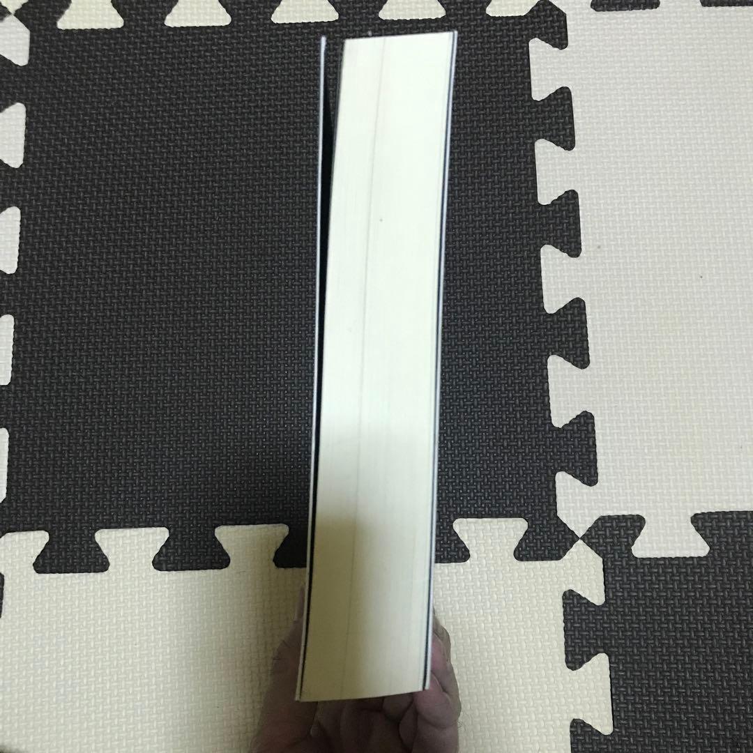 【希少】シュタイナー思想とヌーソロジー