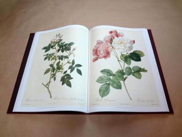 ★ 「Les Roses バラ図譜」 豪華愛蔵版 ピエール=ジョゼフ・ルドゥーテ
