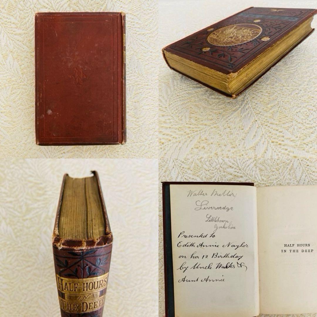 洋書　古書　美しいアンティークブック　1880年発行　海の驚異　海の生き物　自然