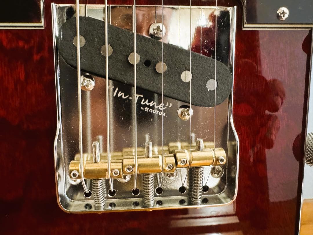 ギター SCHECTER PS-PT-MH-P90