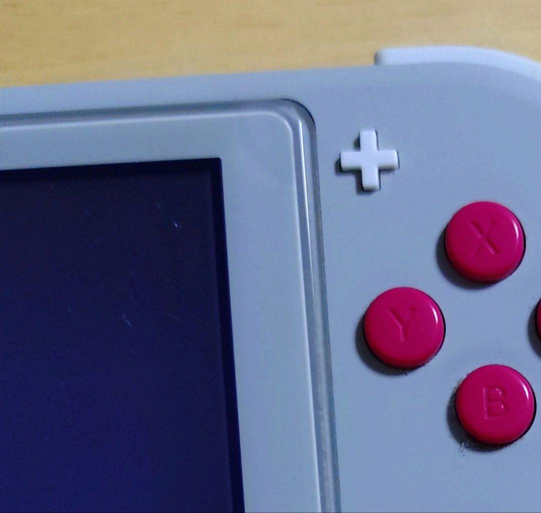 Switch Light 本体