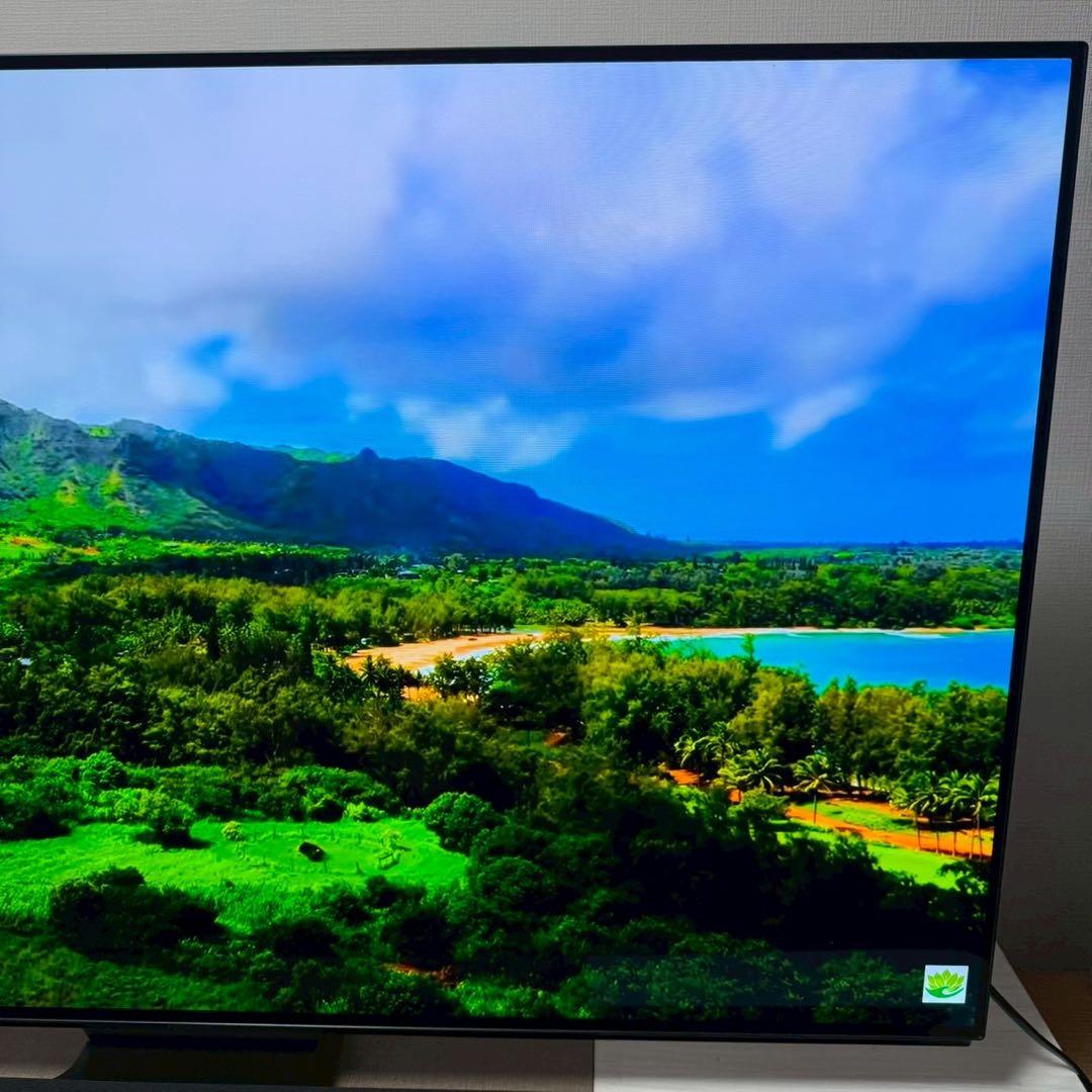 極美品 55V 有機ELテレビ Panasonic TH-55GZ1800 4K