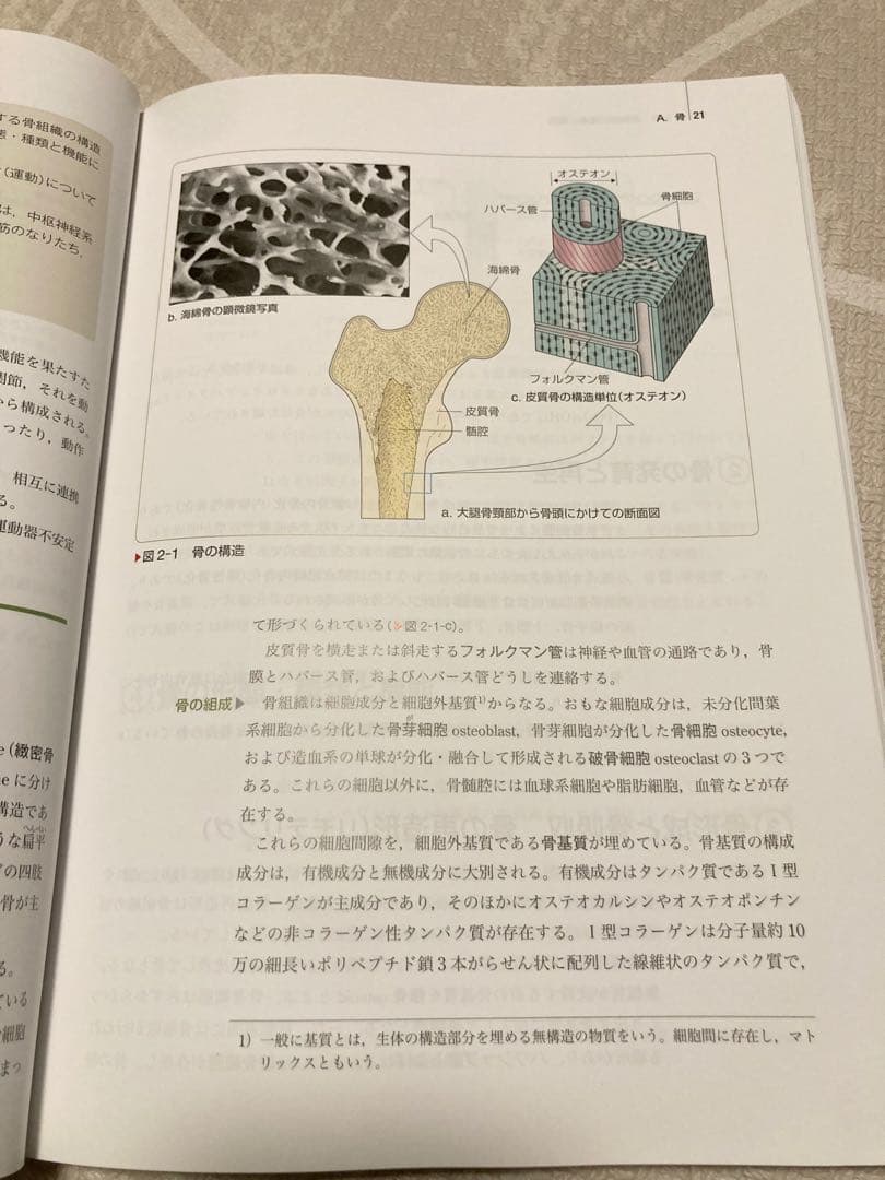 系統看護学講座 基礎看護学 成人看護学 2022〜2023年 19冊まとめ売り