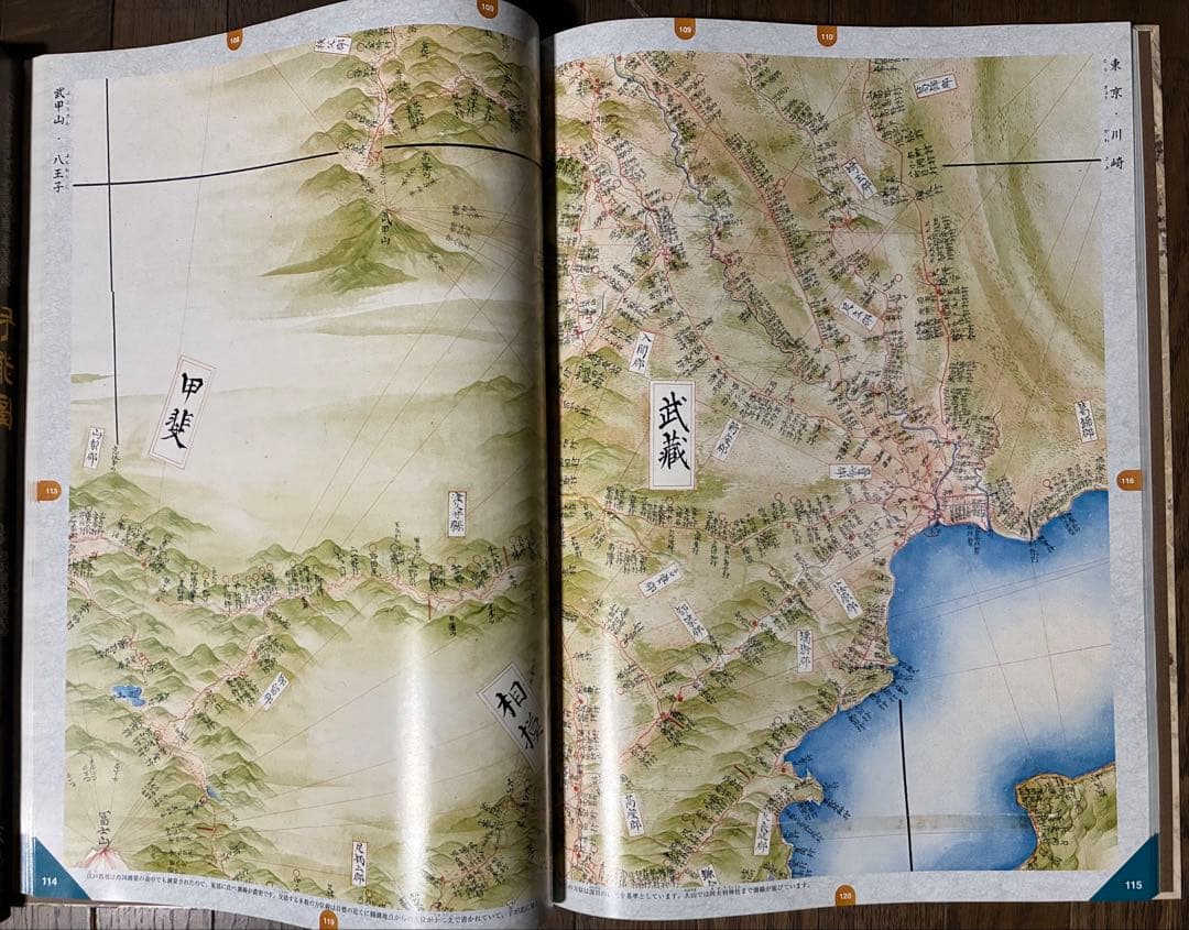 No.231 伊能図　出版社:武楊堂