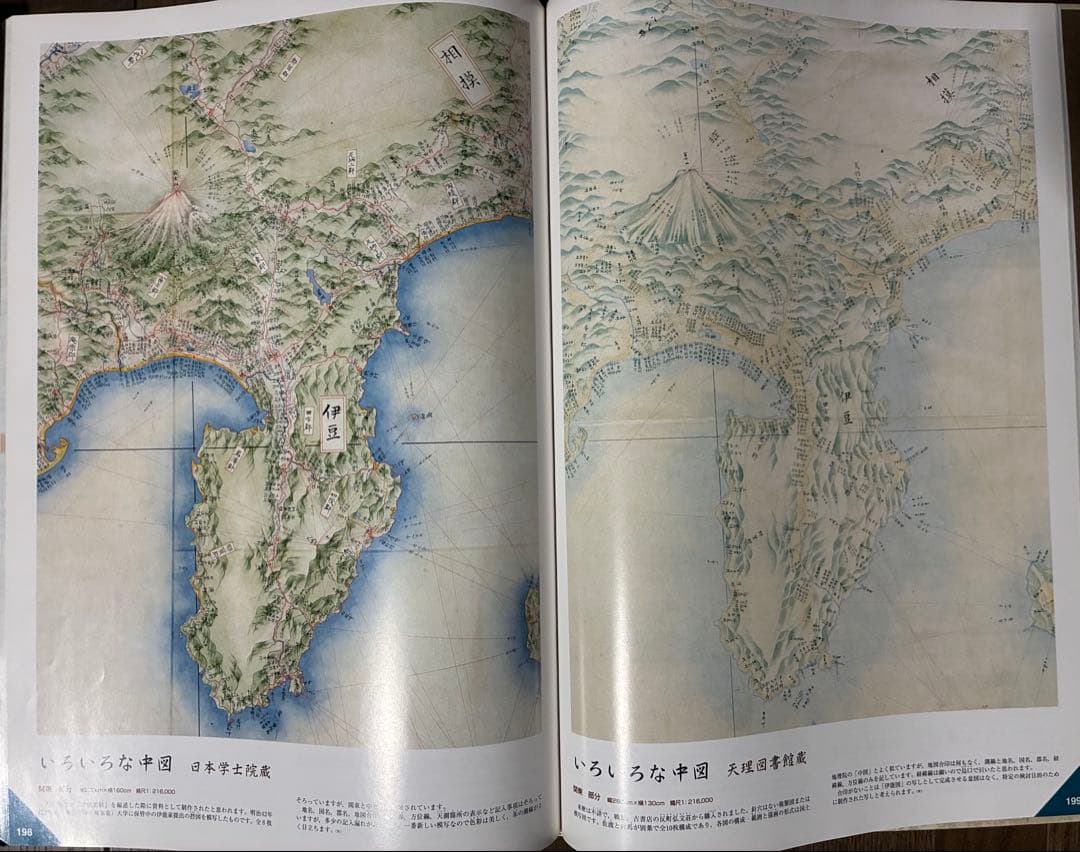 No.231 伊能図　出版社:武楊堂