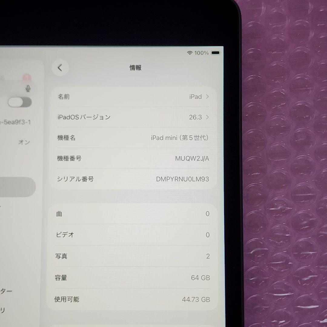 良品　iPad mini 第5世代　バッテリー大変良好　Wi-Fi