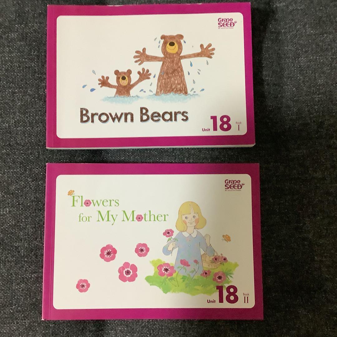 【廃盤】グレーブシードGrapeSEED Unit 18➕CD➕Reader２冊