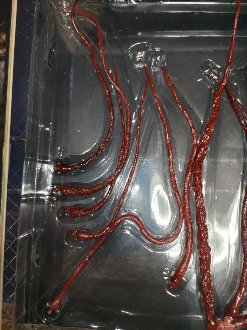 NECA ネカ　遊星からの物体x　ドッグシング