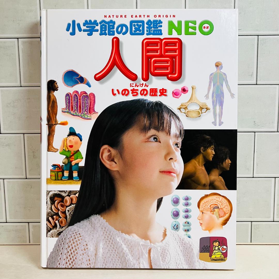 【定番の図鑑】小学館の図鑑NEO 10冊セット