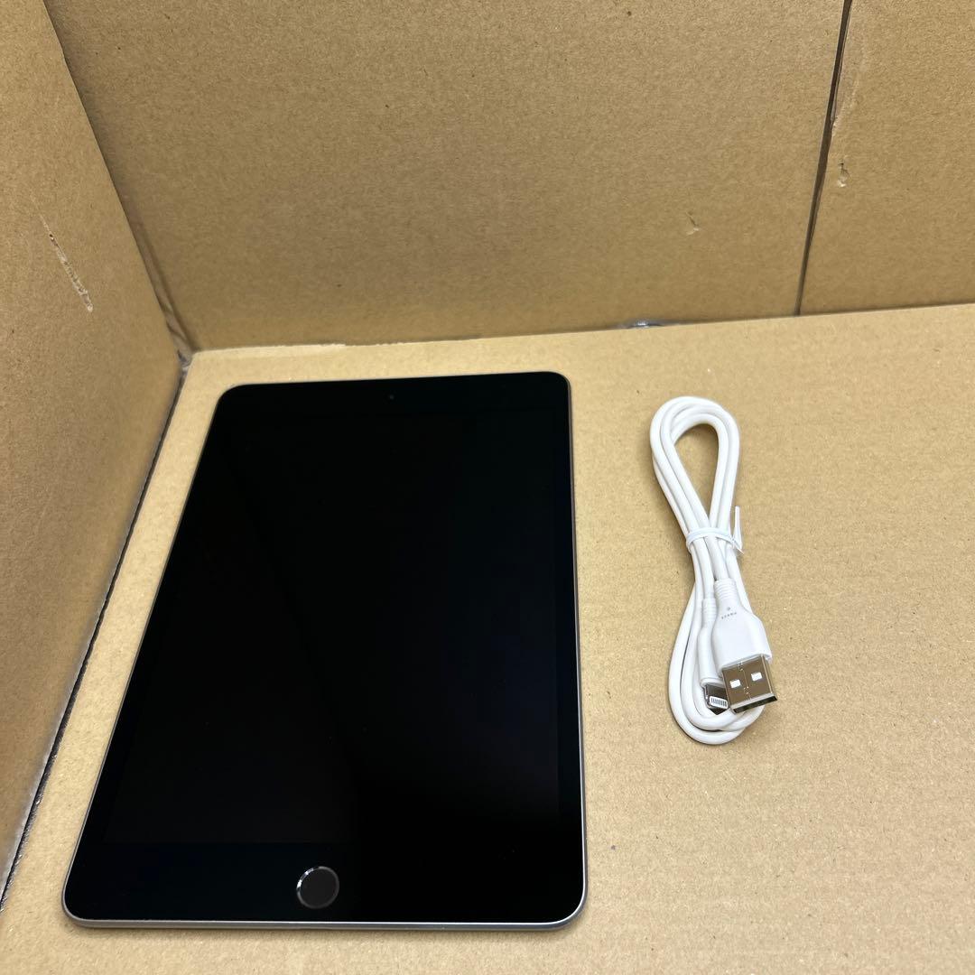 し*げ様 Apple iPad mini (第５世代) 256GB グレー