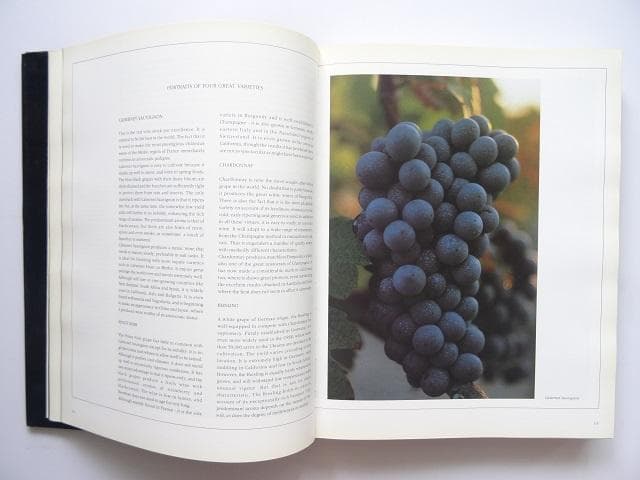 洋書◆世界のワイン写真集 本 ラトゥール ボルドー ブルゴーニュ ほか