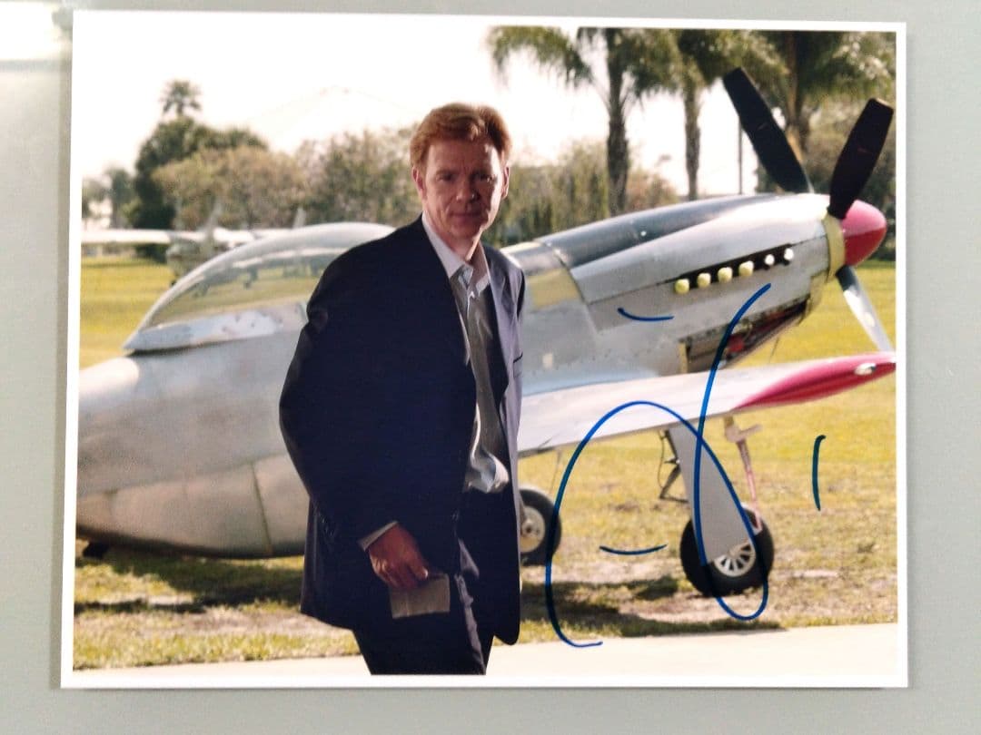 デヴィッド・カルーソ直筆サイン入り超大型写真… David Caruso
