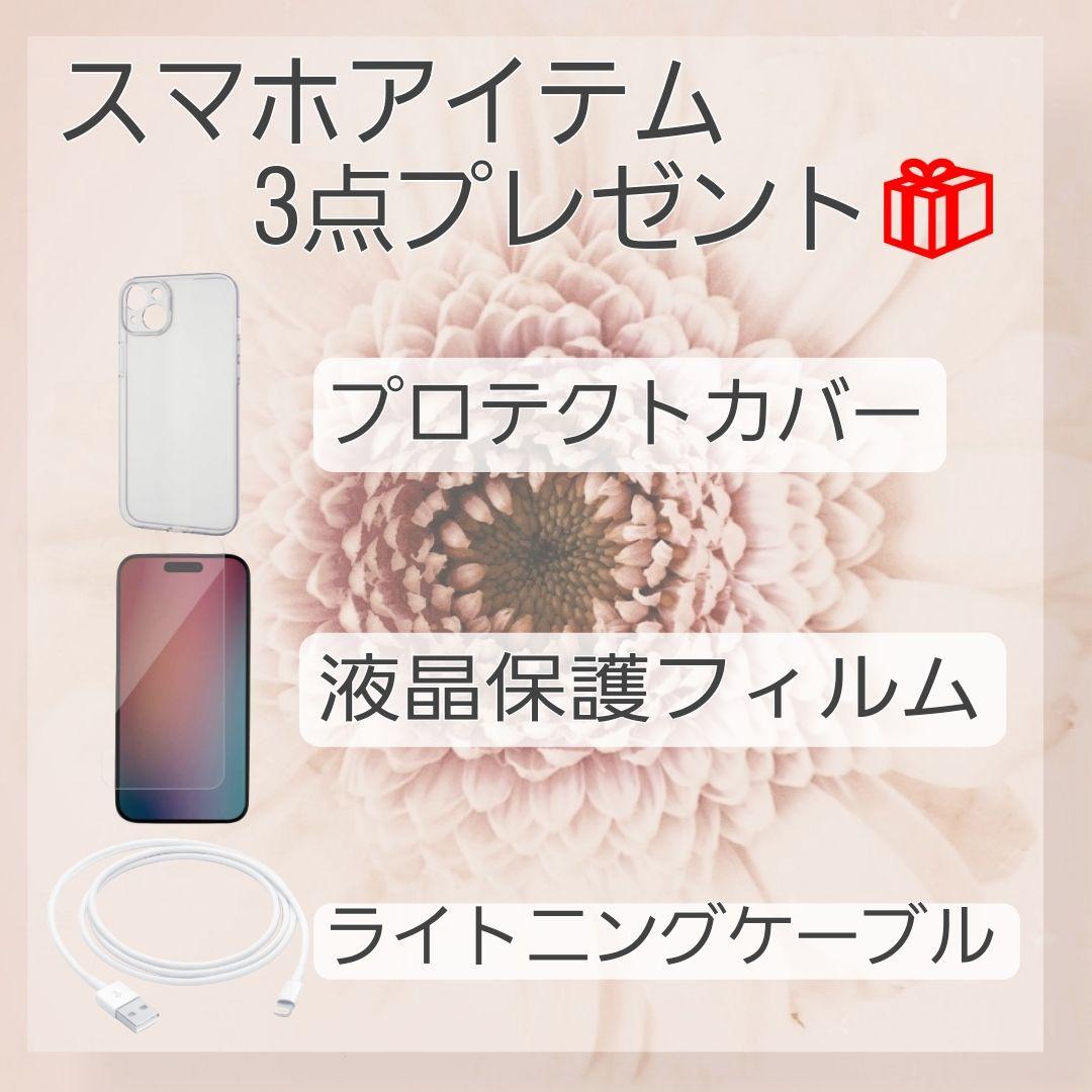 iPhone 12 256GB ブラック SIMフリー バッテリー新品 大容量