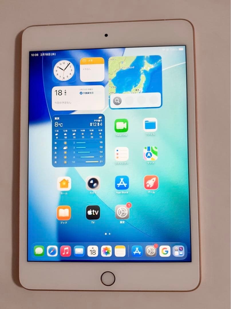 iPad mini 5 256GB Wi-Fi+Cellular ゴールド