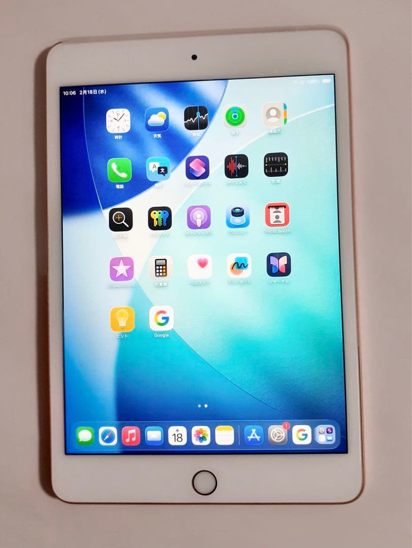 iPad mini 5 256GB Wi-Fi+Cellular ゴールド