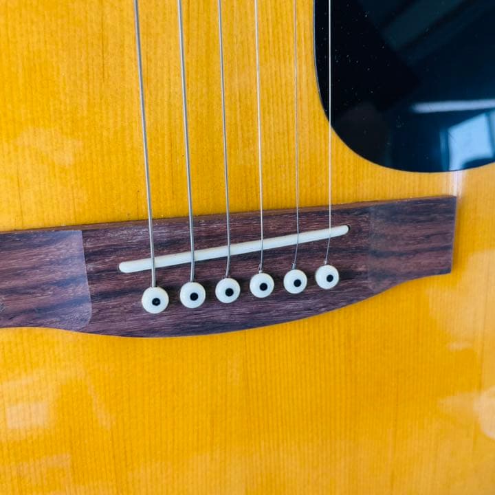 Sepia Crue セピア・クルー　アコースティックギター　W-130