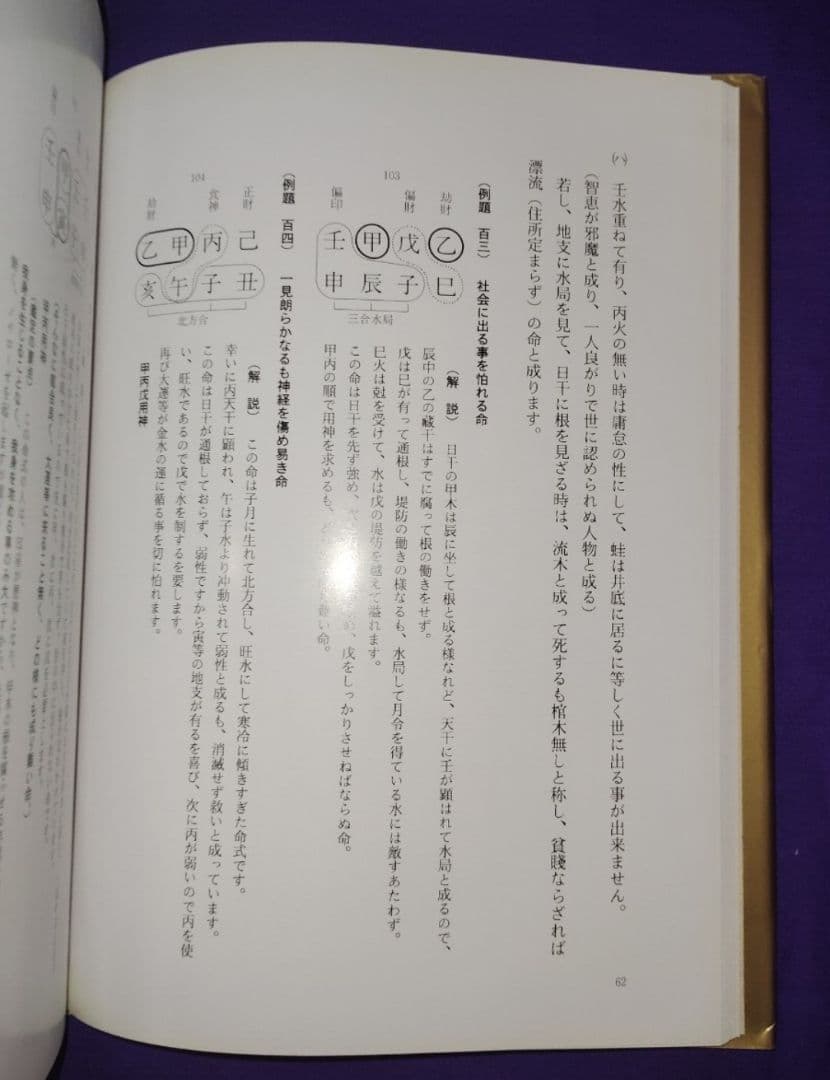 四柱推命実践鑑定講座 応用篇 甲・乙 緒方泰州