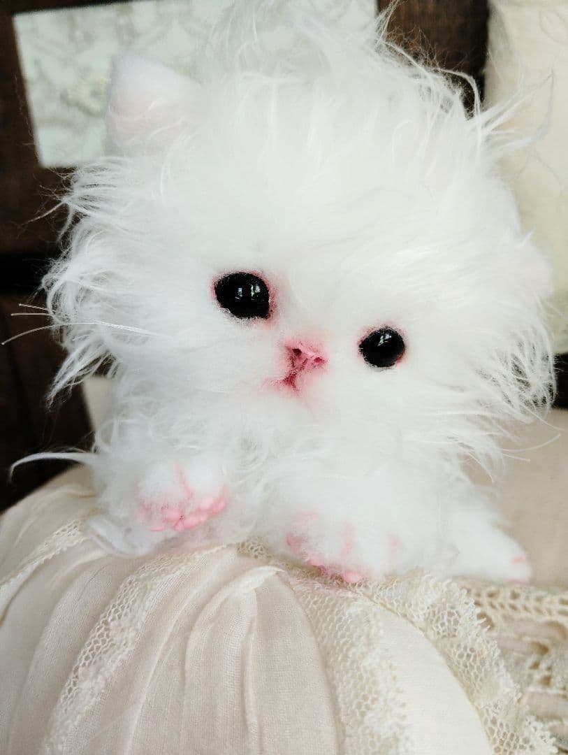 セルカークレックス子猫♡よちよち期♡癖っ毛のララちゃん♡アートドール♡ぬいぐるみ