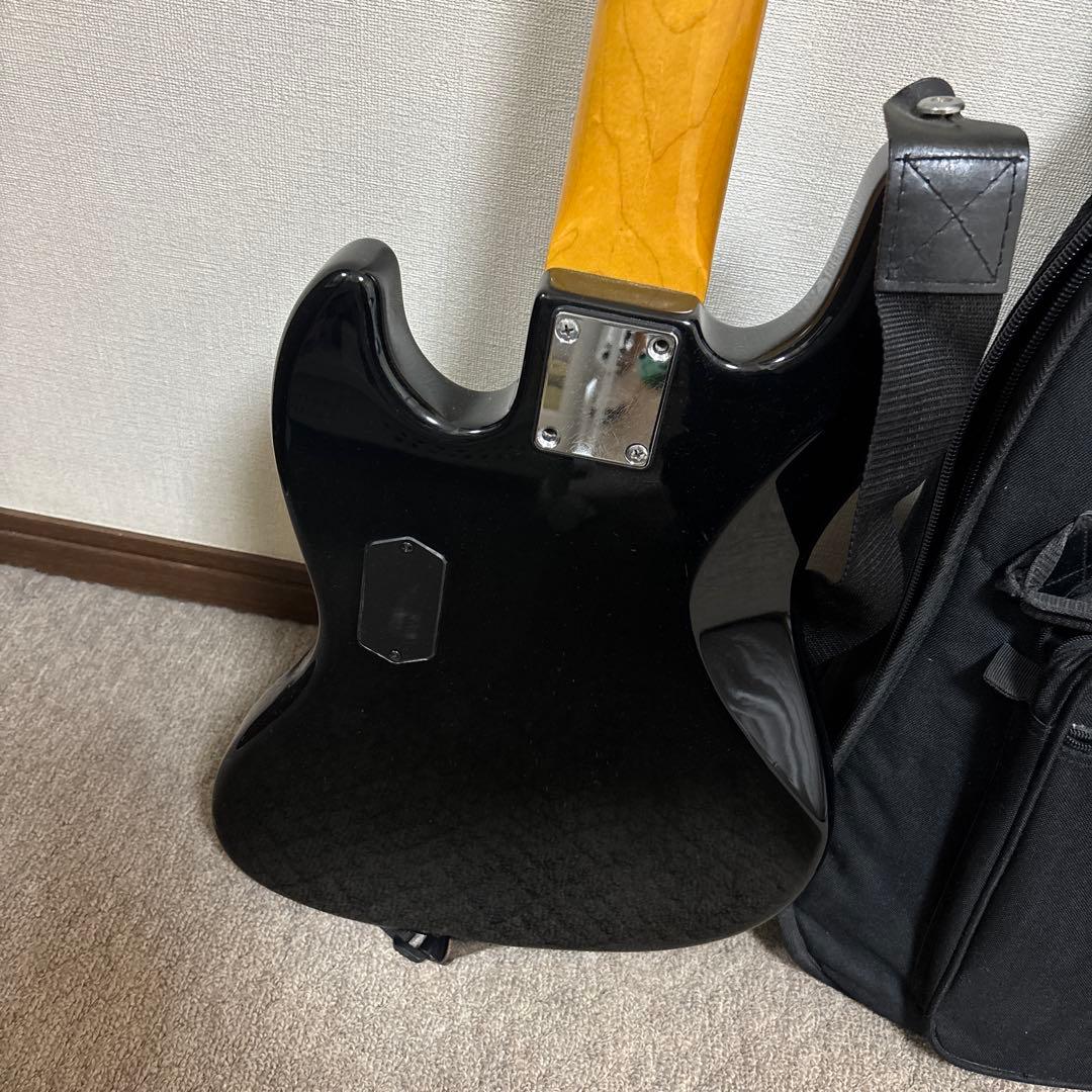 Bacchus Universe Series 5弦ベース WJB5系　ケース付
