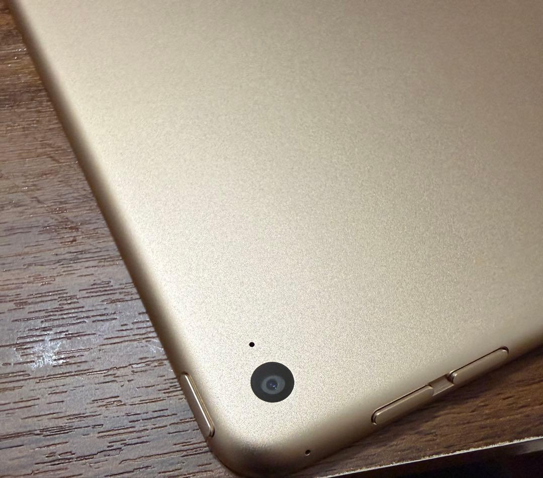iPad Air 2 64GB ゴールド Wi-Fiモデル 動作確認済み