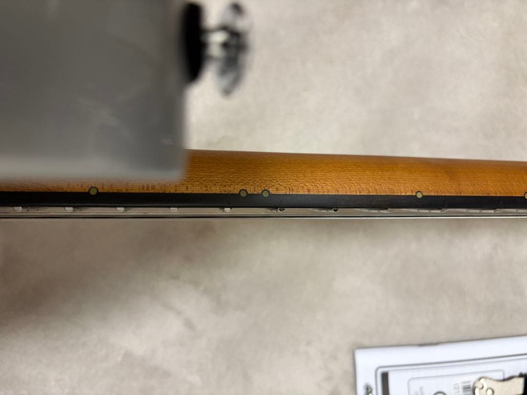 【美品】Ibanez TOD10 ソフトケース付き