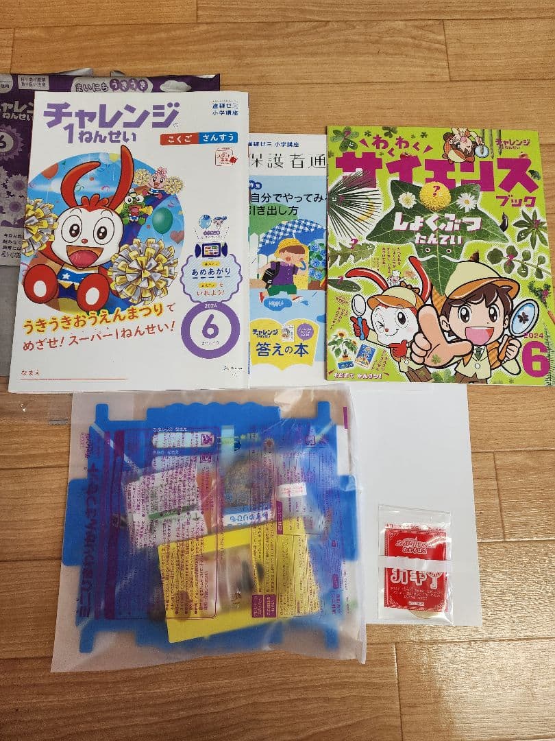 進研ゼミ　チャレンジ１年生　新１年生　ベネッセ