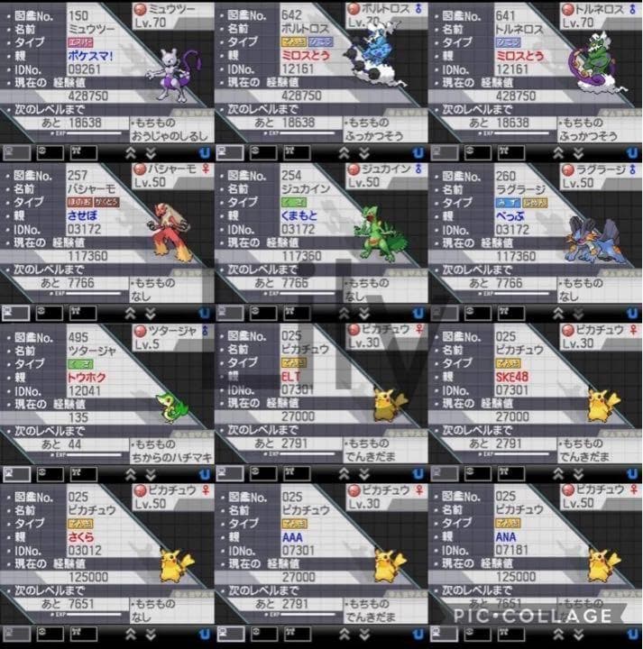 【ポケモン】ブラック2 配信 6vメタモン付き 道具完備 ポケットモンスター