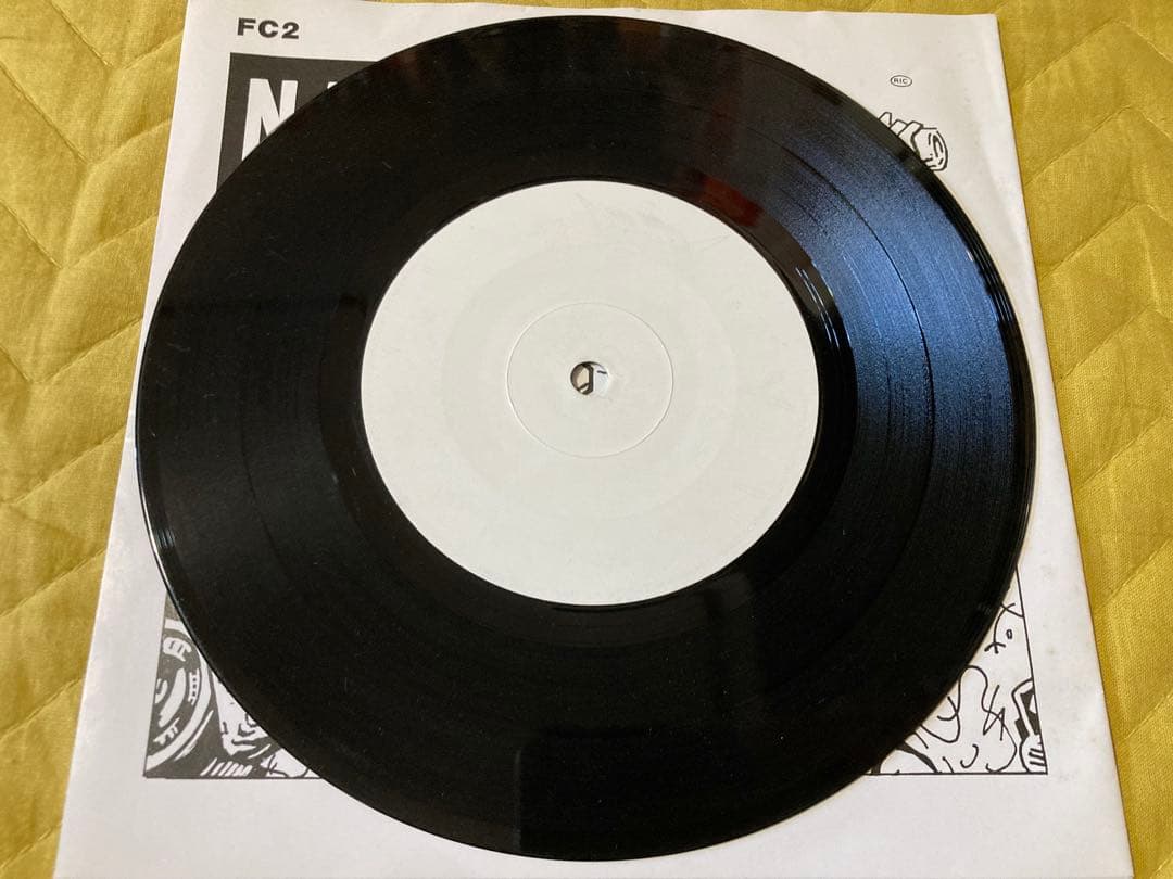 NASTY FACTS 7インチ us punk パンク天国　powerpop